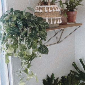 Meet your Posher, Eileen